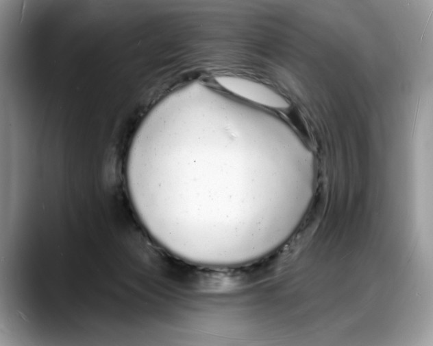 X0000088020173200706081448