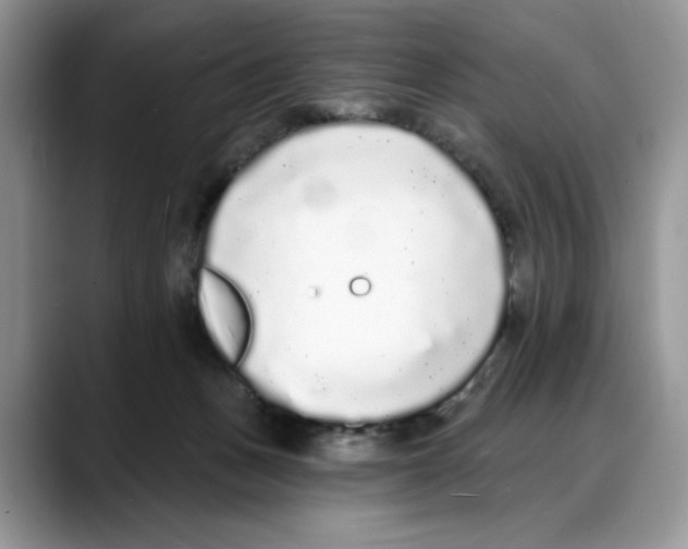 X0000088020175200706081448
