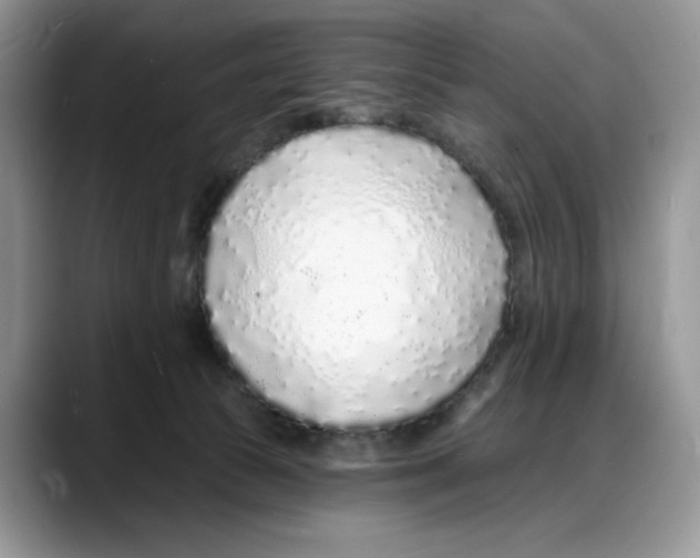 X0000088020177200706081448