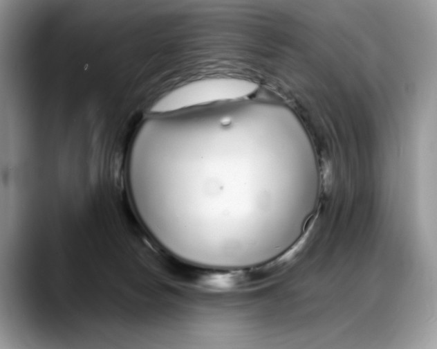 X0000088020178200706081448