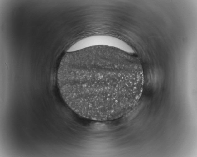 X0000088020180200706081448