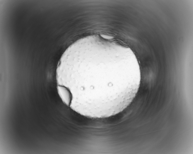 X0000088020181200706081448