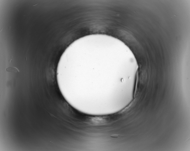 X0000088020183200706081449
