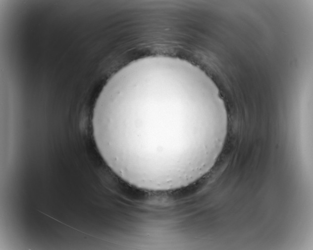 X0000088020185200706081449