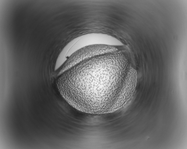 X0000088020186200706081449