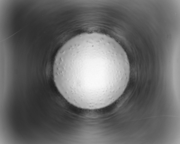 X0000088020189200706081449