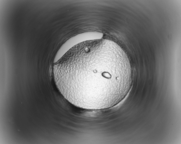 X0000088020190200706081449
