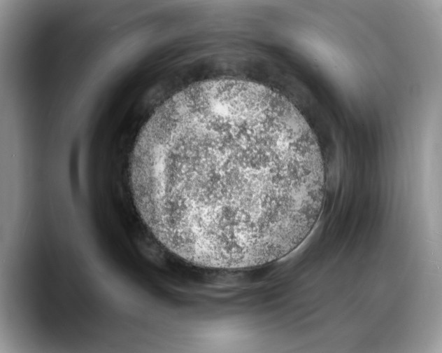 X0000088020191200706081449