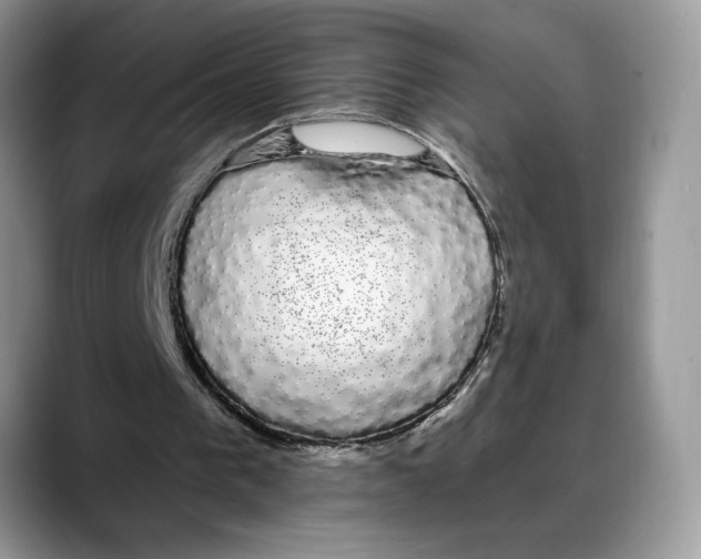 X0000088020193200706081448