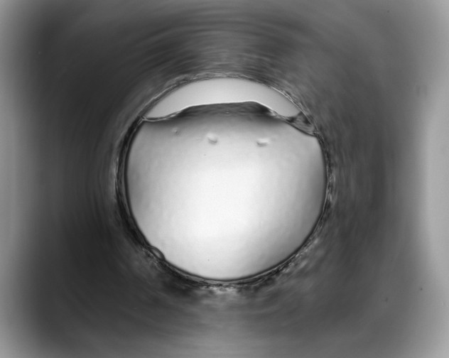 X0000088020194200706081448