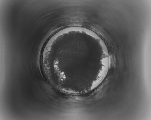X0000088020195200706081448