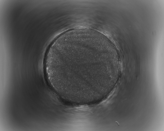 X0000088020196200706081448