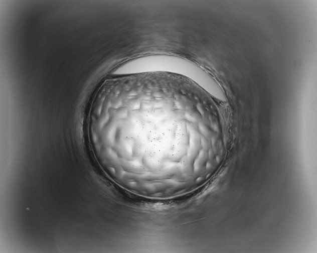 X0000088020197200706081448