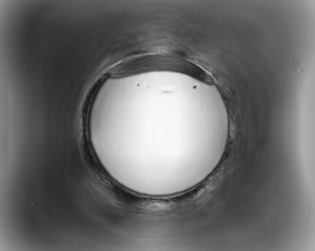 X0000088020198200706081448