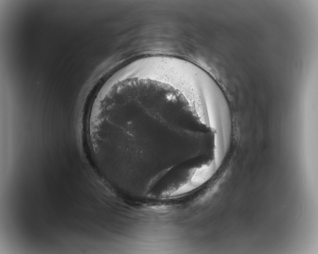 X0000088020199200706081448