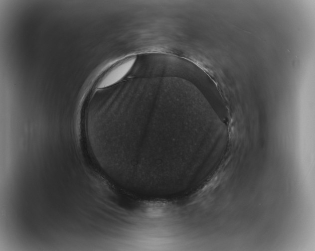 X0000088020200200706081448