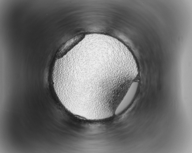 X0000088020201200706081448