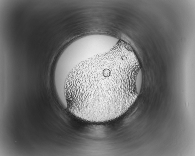 X0000088020203200706081448