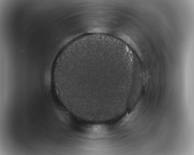 X0000088020204200706081448
