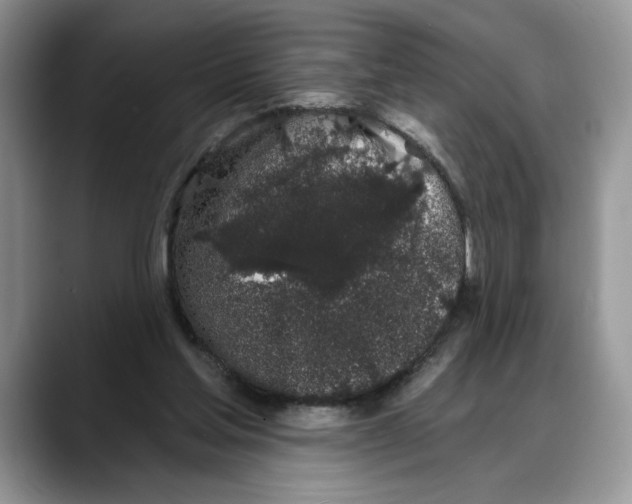X0000088020205200706081448
