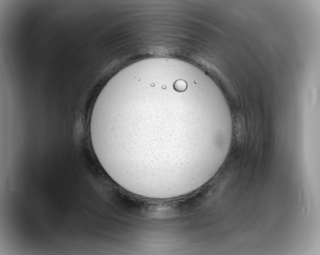 X0000088020208200706081448