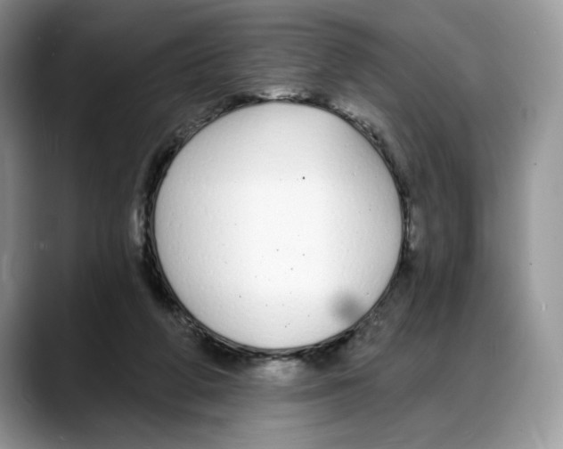X0000088020210200706081448