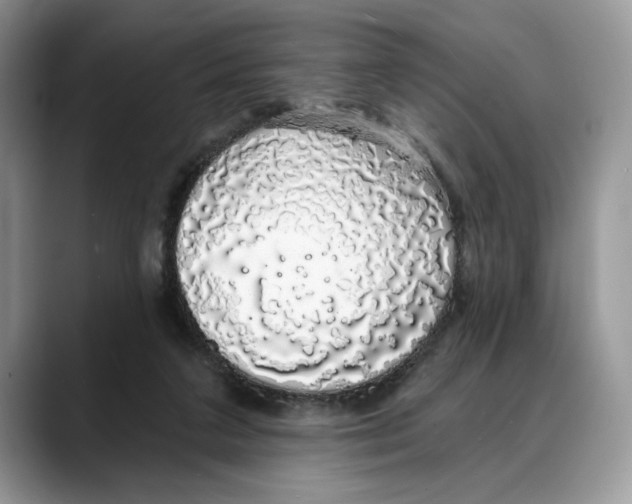 X0000088020211200706081448