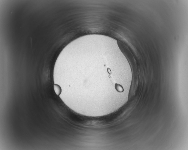 X0000088020212200706081448