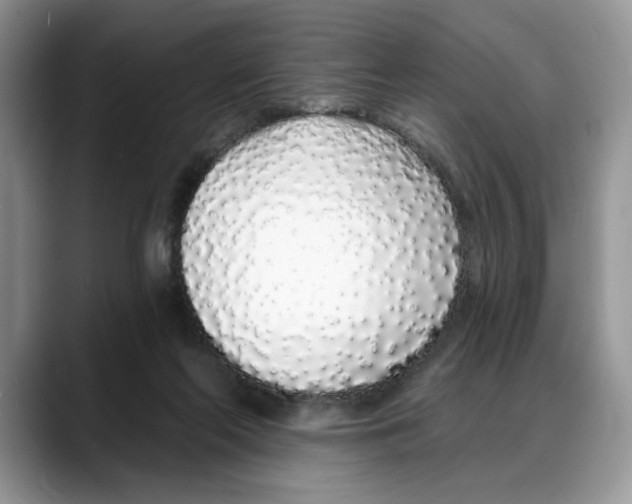 X0000088020214200706081448