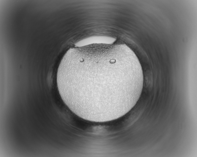 X0000088020216200706081448