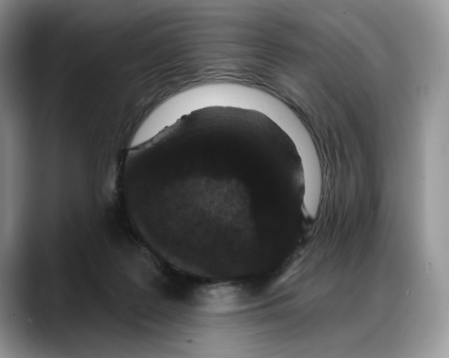 X0000088020219200706081448