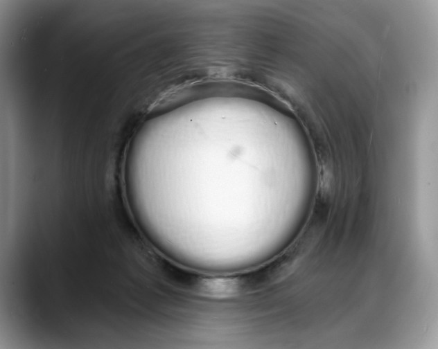 X0000088020221200706081448