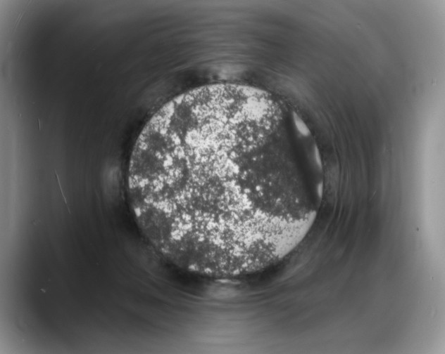 X0000088020222200706081448