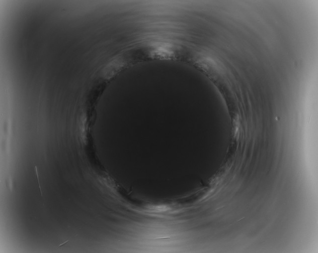X0000088020223200706081448
