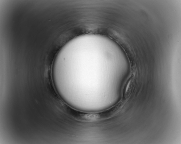 X0000088020225200706081448