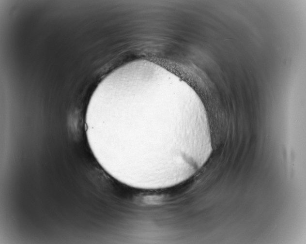 X0000088020228200706081448