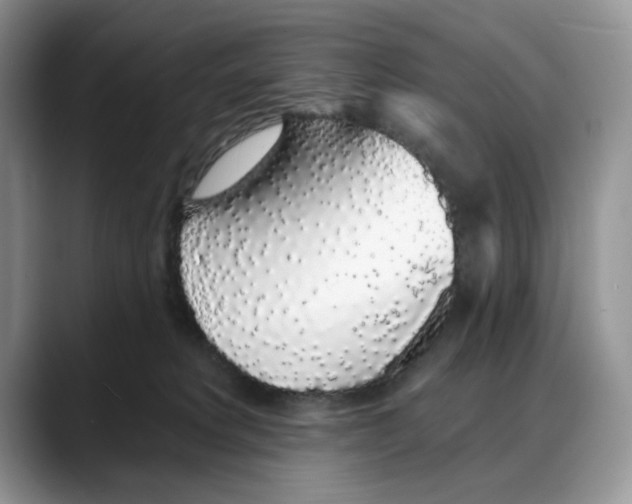 X0000088020229200706081448