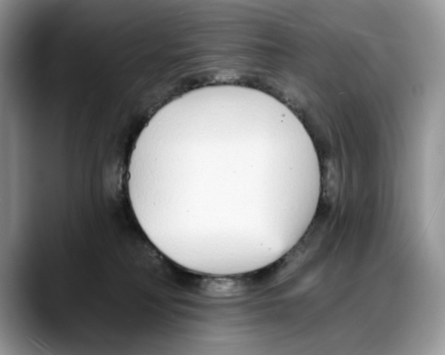 X0000088020230200706081448