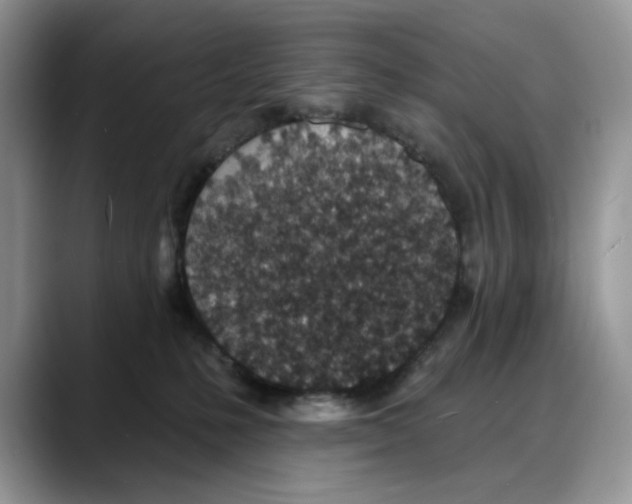 X0000088020231200706081447