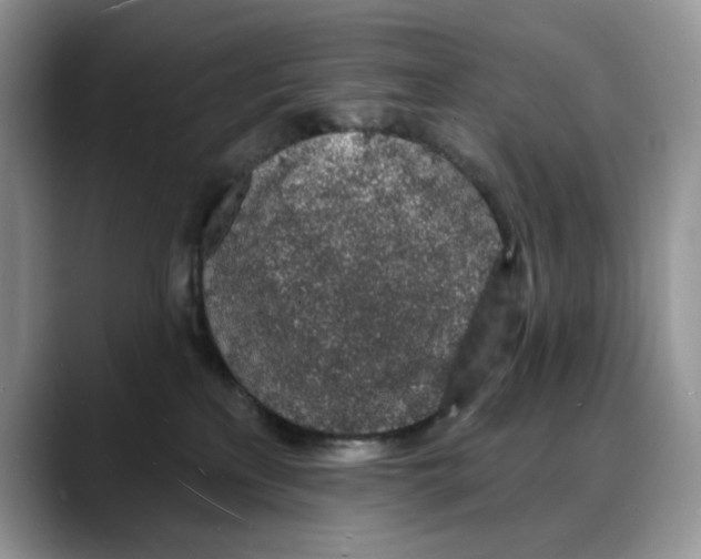 X0000088020233200706081447
