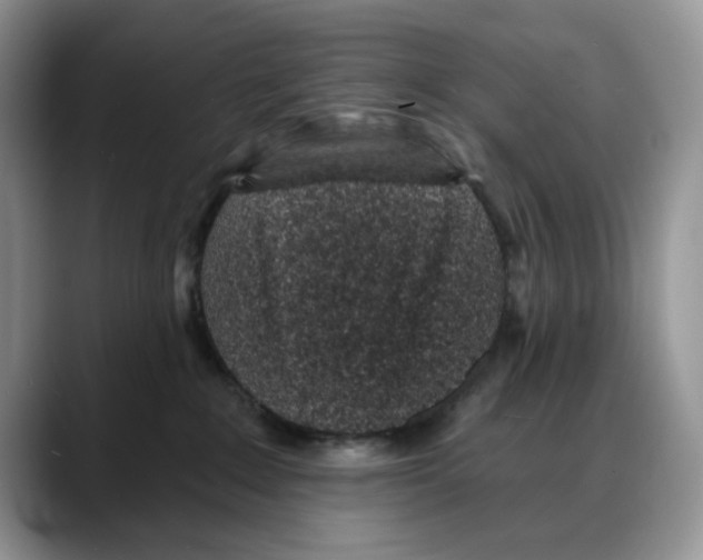 X0000088020235200706081447