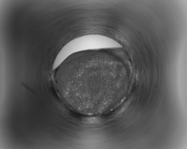 X0000088020237200706081447