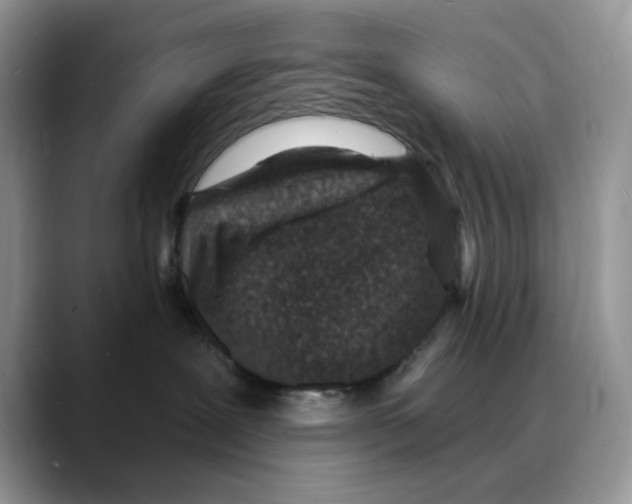 X0000088020239200706081447