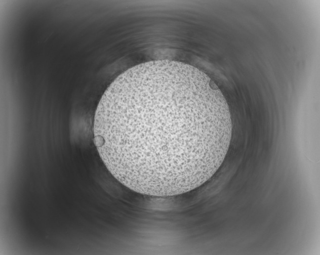 X0000088020240200706081447