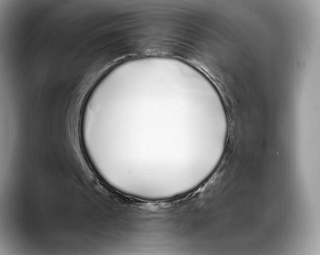 X0000088020241200706081447