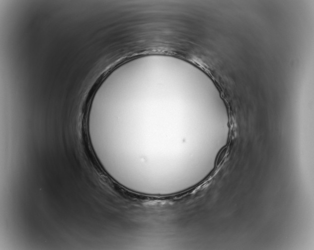 X0000088020242200706081447