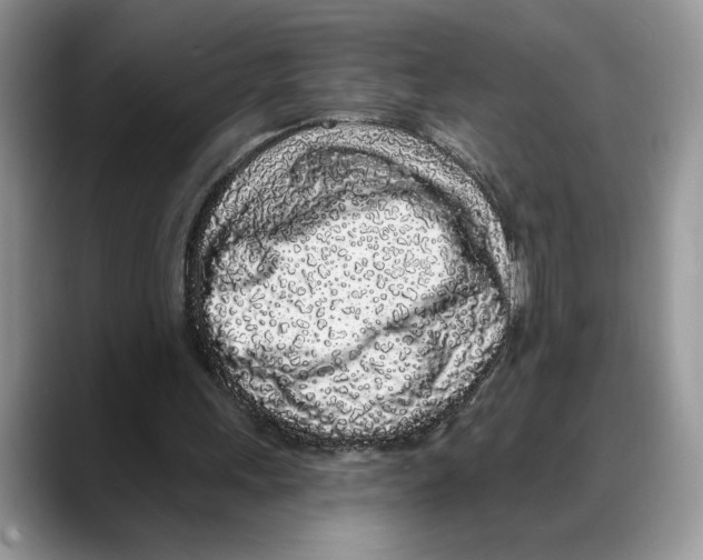 X0000088020243200706081447