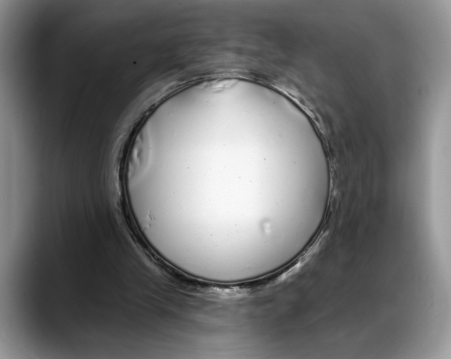 X0000088020245200706081447