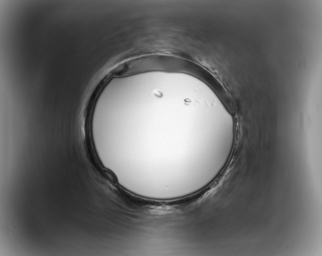 X0000088020246200706081447