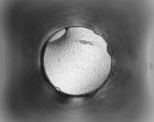 X0000088020248200706081447